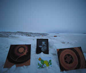 Antarctic art work