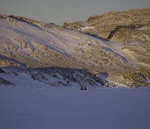 Quad bikes on sea ice in Long Fjord