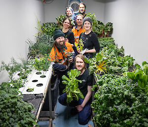 Davis Station hydroponics team