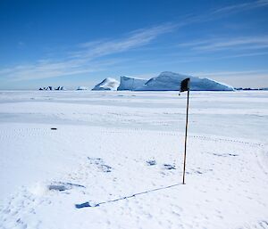 A black flag and bamboo cane in the foreground signify the drilling point amid an ocean of white sea ice and blue icebergs