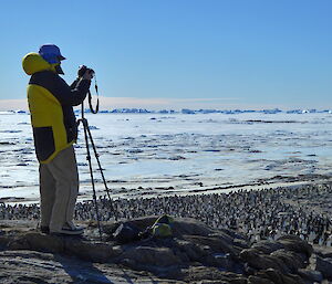 A scientist photographing hundreds of Adélie penguins from the island’s rocky peak against a blue background of icebergs, sea-ice and sky.