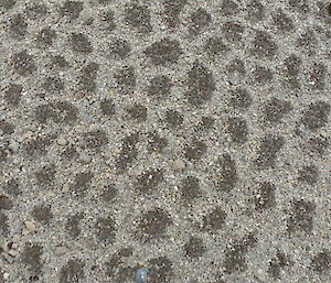 A geometric pattern in a gravel bed due to freeze/thaw, highlighted by a damp layer in the ground being pushed up through the dry surface layer
