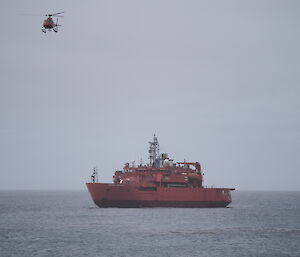 One of the helicopters bringing passengers to shore from the Aurora Australis