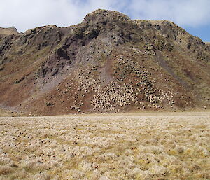 Duck Lagoon on Macquarie Island in 2006