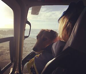 a small dog sits on the lap of someone sitting in the front seat of a helicopter