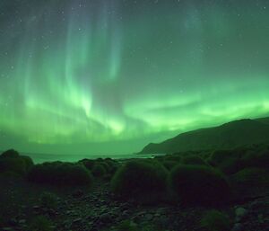 curtains of green light fall over a bay of water lighting up a peninsula