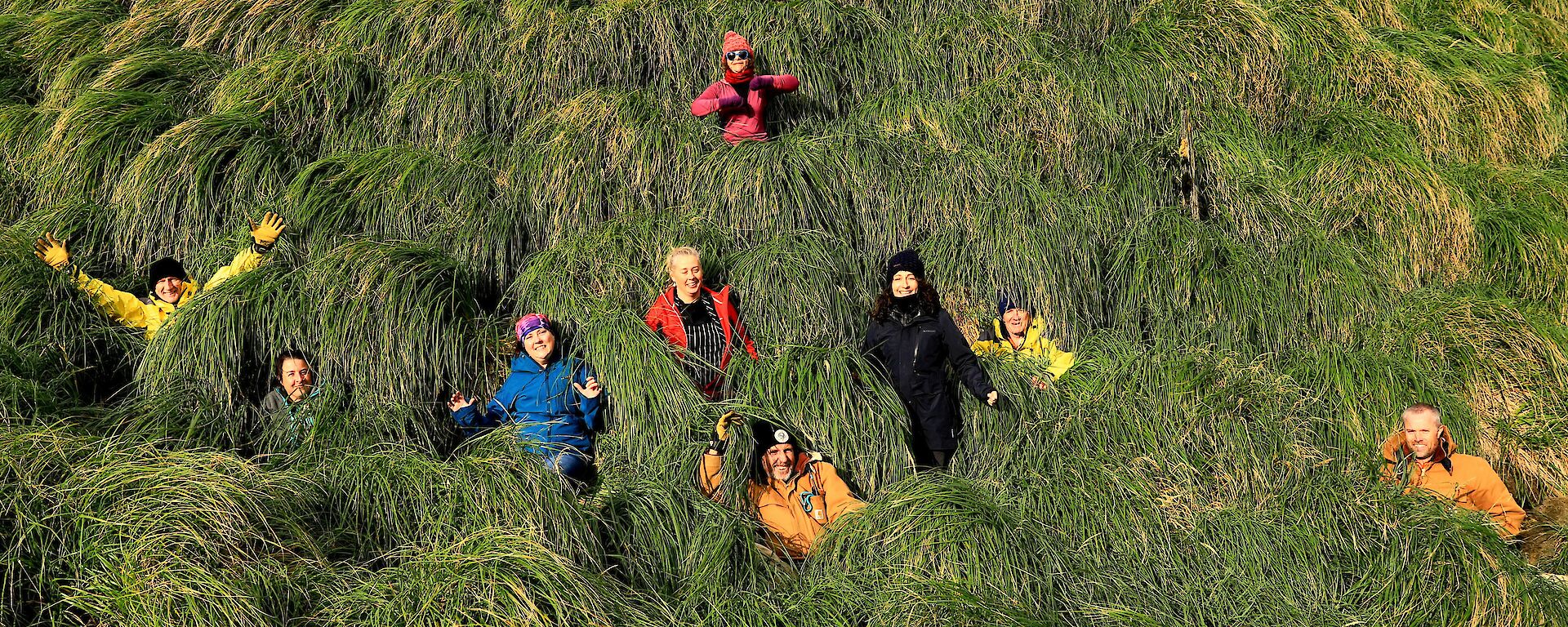 Nine brightly dressed people are standing in the grassy tussocks of Macquarie Island