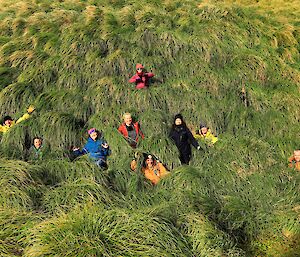 Nine brightly dressed people are standing in the grassy tussocks of Macquarie Island