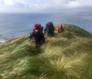 Three people are hiking over a peak covered in long green grass