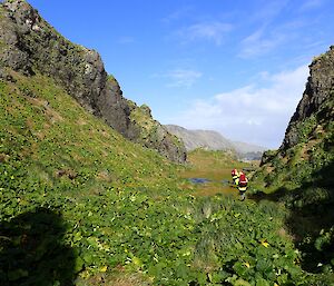 two hikers in yellow jackets walk through a lush green valley with rocky outcrops on either side