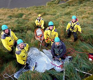 Six people stand in tussock grass on a slope with a rigging system in place