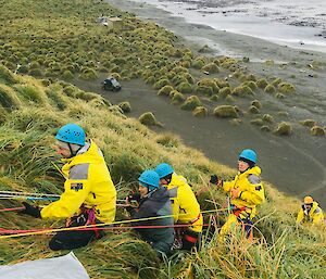 4 people guide the ropes as an attendant holds on to a stretcher