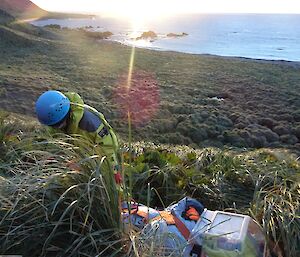 a man in a blue helmet prepares a patient in a stretcher in a grassy slope