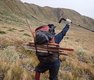 a woman carrying a backpack and track markers holds a walking stick up in the air as she looks onto a grassy plateau