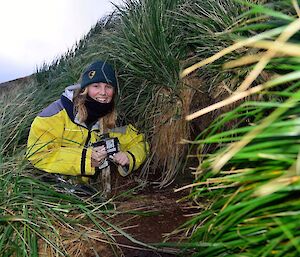 A woman in a yellow jacket crouches next to a bird burrow in the tussock grass