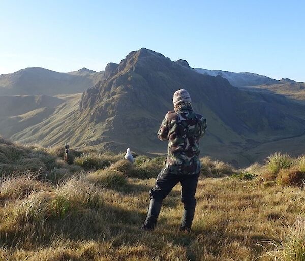 A woman in camouflage jacket is standing in front of a wandering albatross