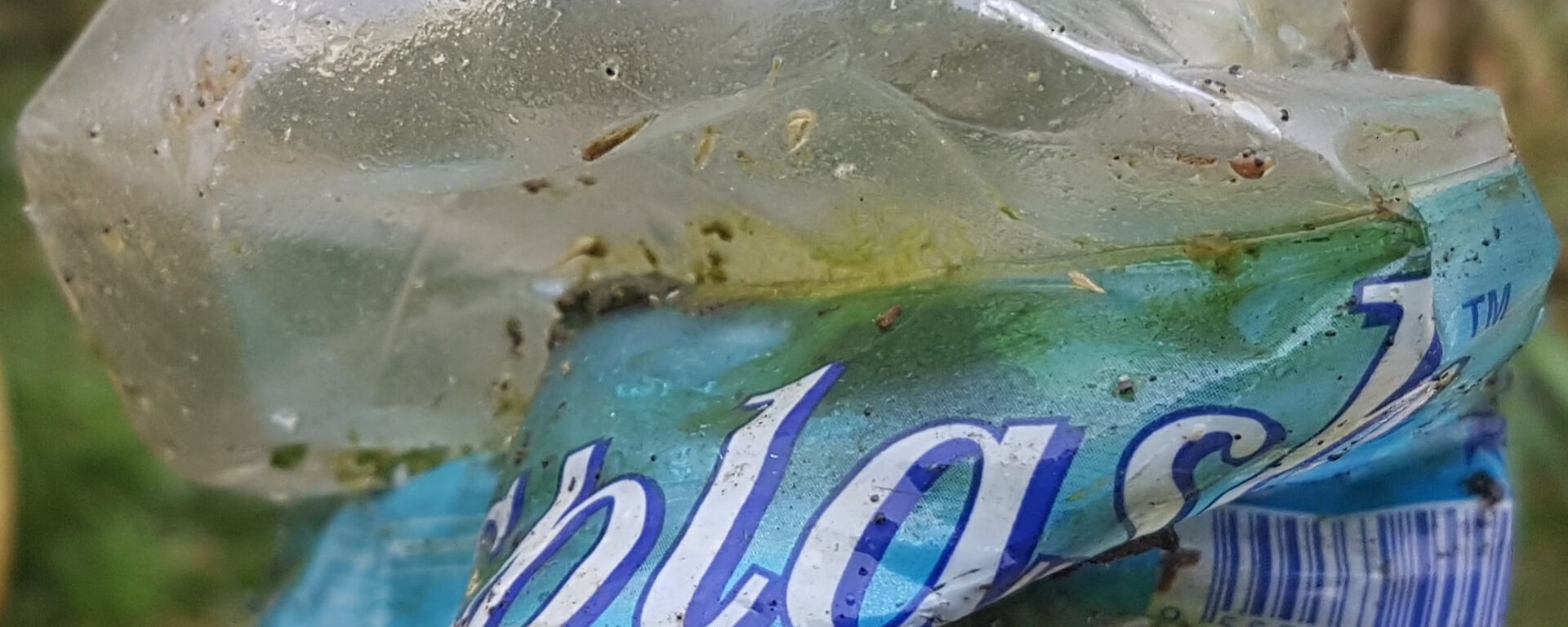A crumpled clear plastic water bottle with label still attached