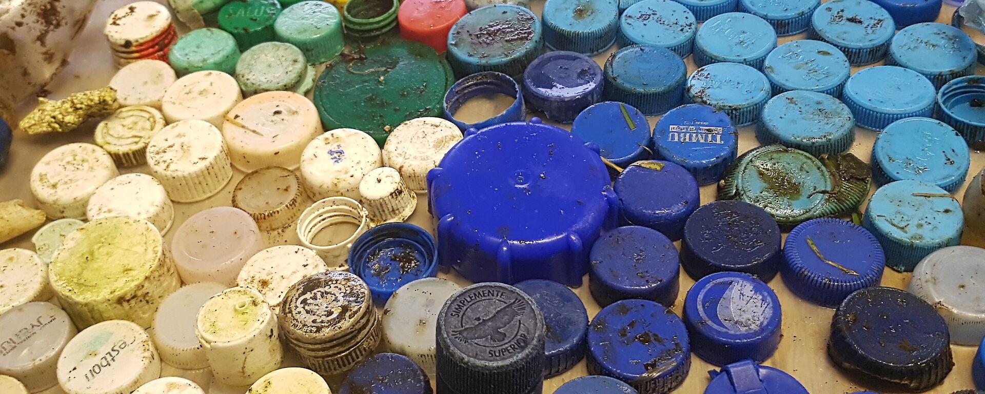 An array of coloured plastic lids are spread out grouped in blues, pinks and whites