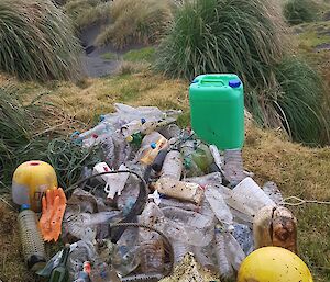 A pile of washed up plastic items are laid out among the grassy tussock including an orange rubber glove, a yellow buoy, a large green container, styrofoam buoys and more plastic drink bottles