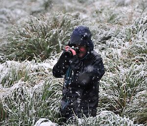 A woman stands in snowy tussock taking photos