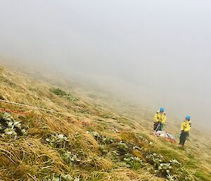 Two people in yellow jackets and blue helmets stand holding on to an orange stretcher on the grass