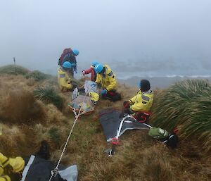 A team of people in yellow jackets and helmets are preparing to lower a stretcher over the edge of a slope