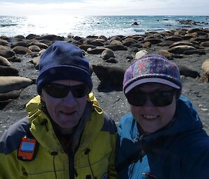 A man and a woman stand in front of a elephant seal harem