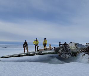 Expeditioners standing on aircraft wing