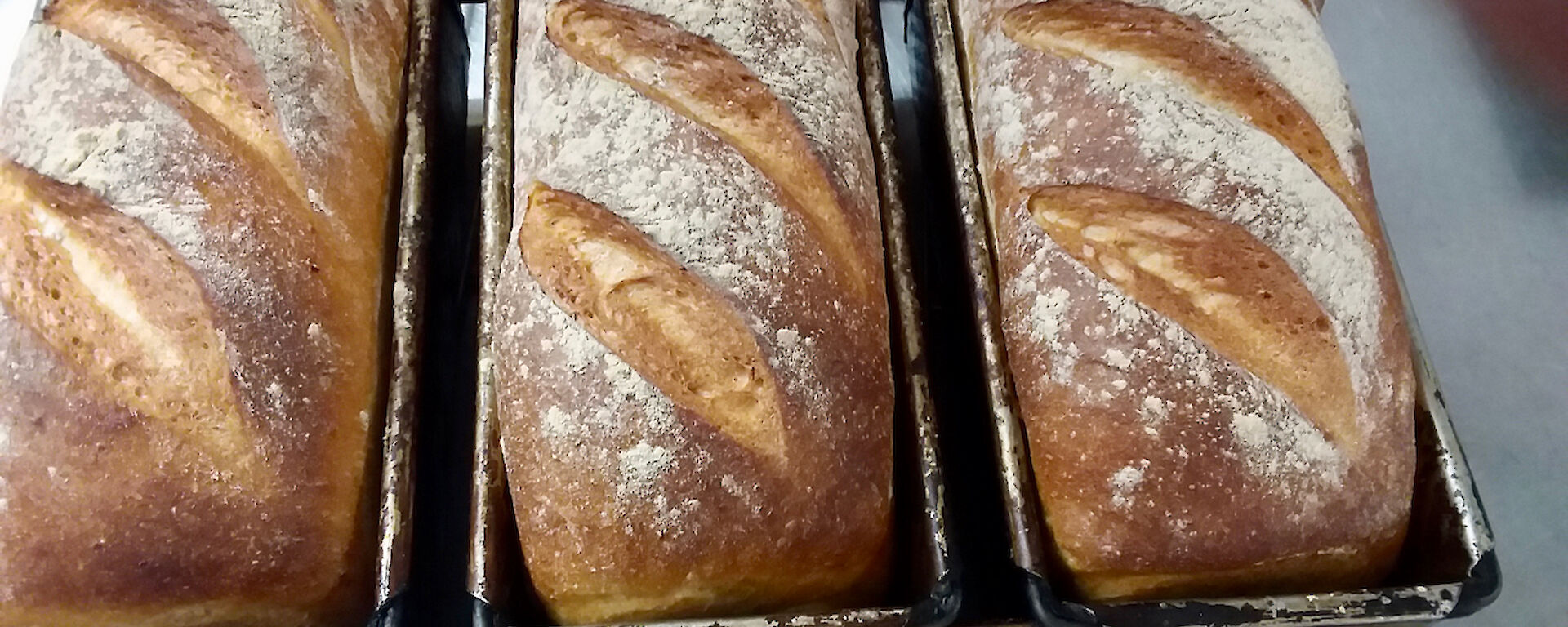 Three loaves of freshly baked bread