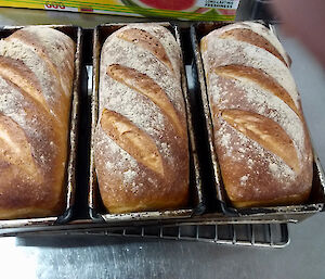 Three loaves of freshly baked bread