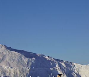 Auster Emperor penguin standing tall — by Electrician Waz.