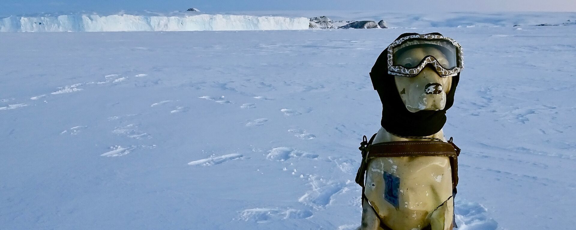 Stay at the iconic Proclamation Point — Mawson Station.