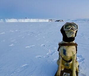 Stay at the iconic Proclamation Point — Mawson Station.