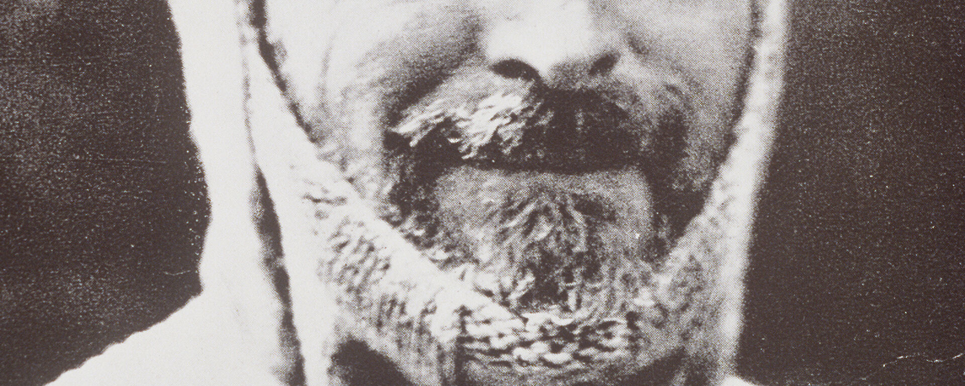 Sir Douglas Mawson in his iconic balaclava.