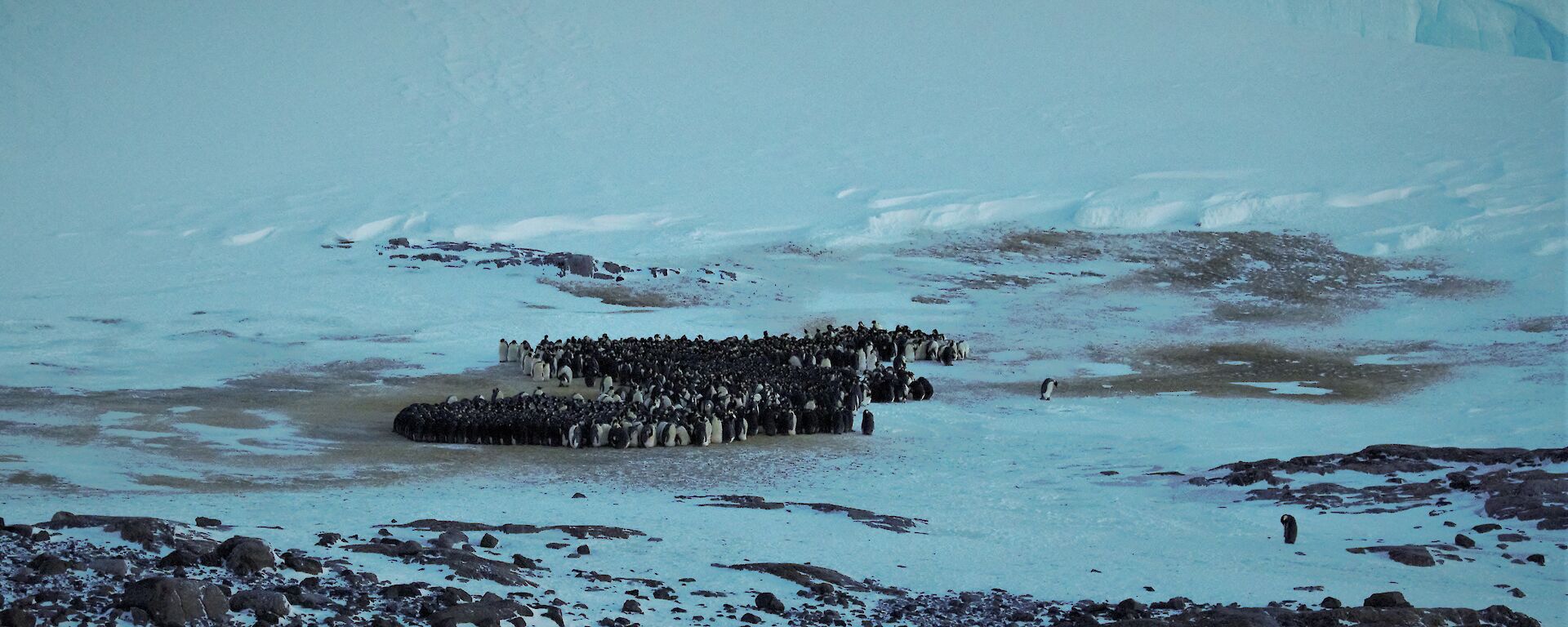 Taylor Rookery June 2019 — Mawson Station.