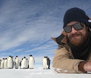 Emperor penguins and man on the ice