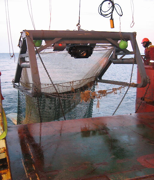 A beam trawl with a camera attached being deployed from the rear deck of the Aurora Australis.