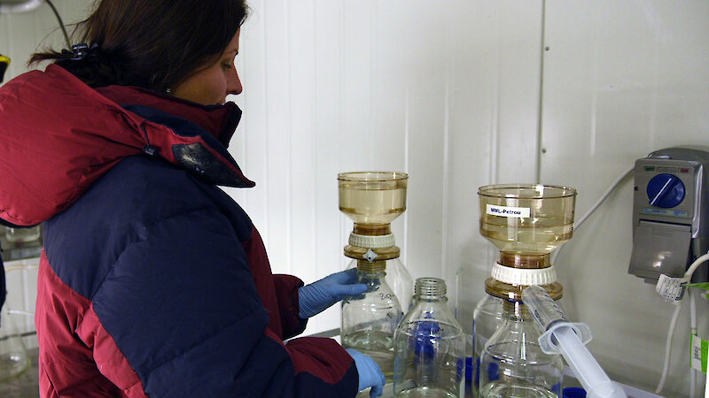 Dr Petrou filtering phytoplankton samples in a 0°C containerised laboratory at Davis research station.