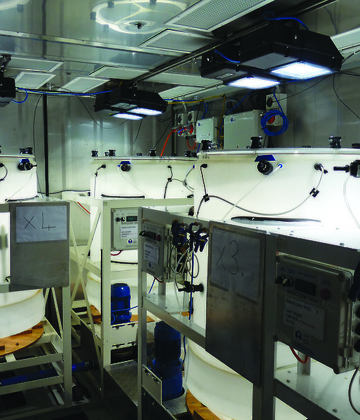 The 650 litre mesocosm tanks set up at Davis research station.
