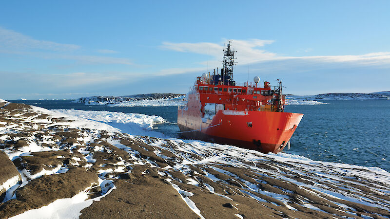 The Aurora Australis grounded on West Arm after the blizzard.