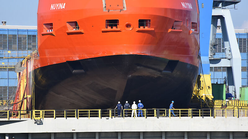 The bow of the Nuyina towering over a gate between the dry and wet docks.