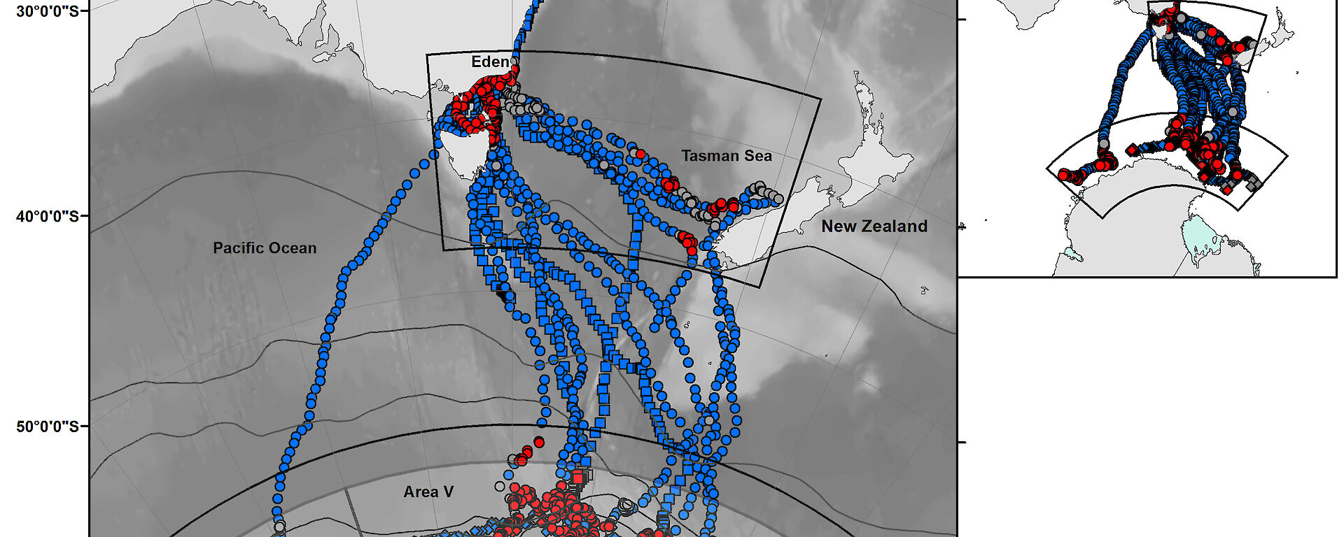 Migratory pathways for 30 humpback whales, satellite tagged off the east coast of Australia (at Eden and the Sunshine Coast) and in Antarctica, over three consecutive summers.