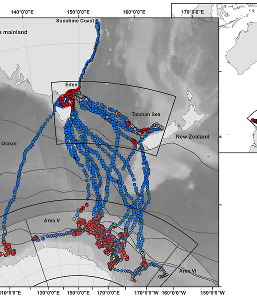 Migratory pathways for 30 humpback whales, satellite tagged off the east coast of Australia (at Eden and the Sunshine Coast) and in Antarctica, over three consecutive summers.