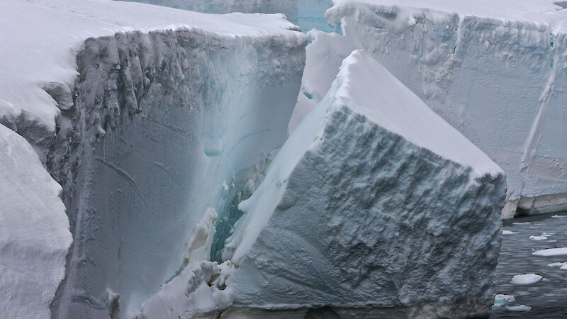 An iceberg calving off an ice shelf.