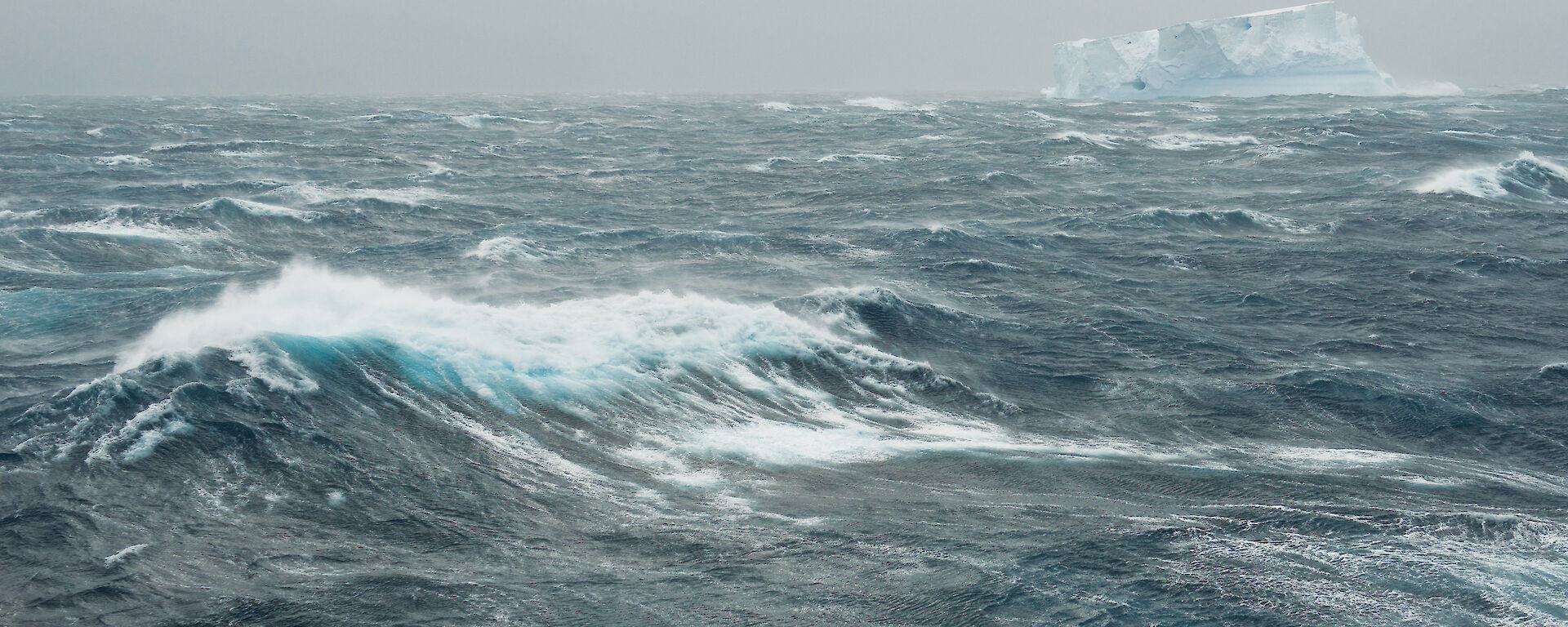 Ocean waves whipped up by wind.