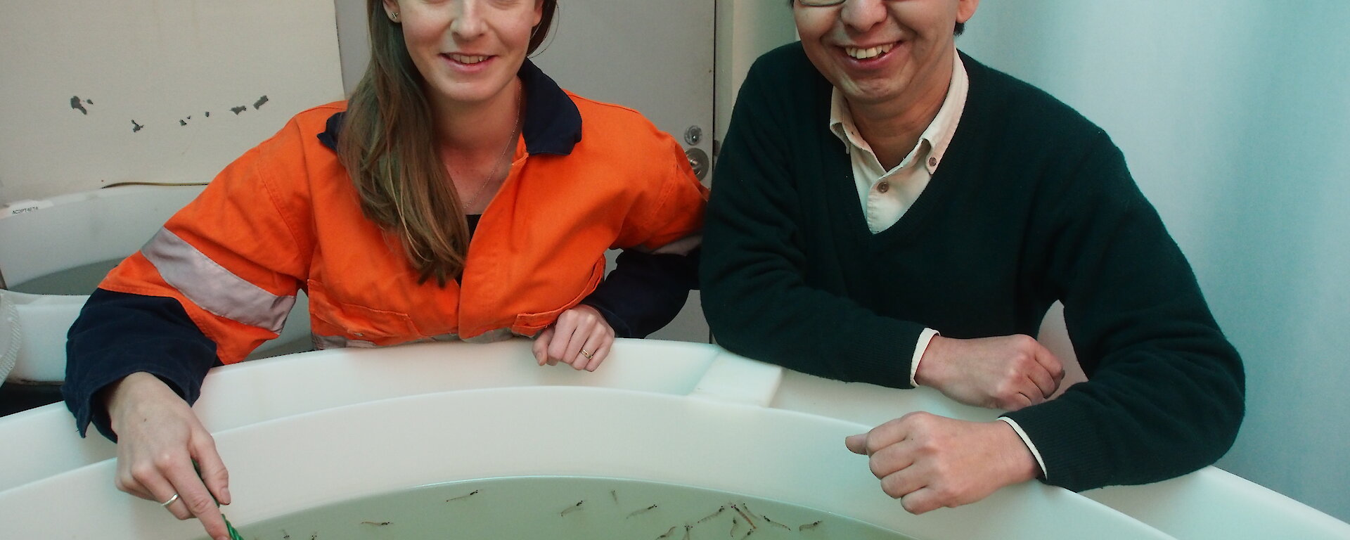 Scientists beside a tank in the Australian Antarctic Division’s krill aquarium.