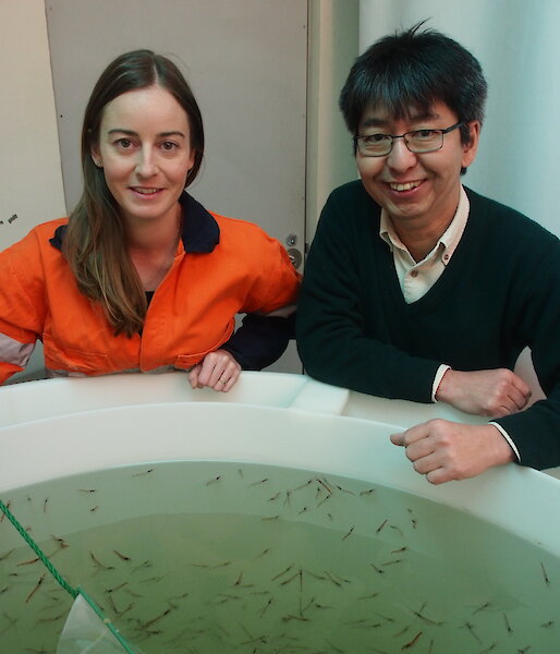 Scientists beside a tank in the Australian Antarctic Division’s krill aquarium.