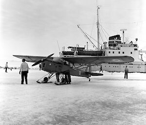 An Auster MkVI on skis beside the Kista Dan during the voyage to establish Mawson research station in 1954, flown by Phillip Law.