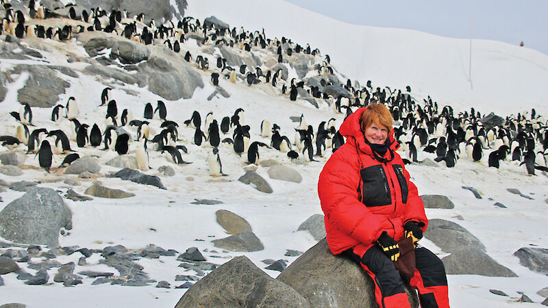 Woman at a penguin colony in Antarctica.