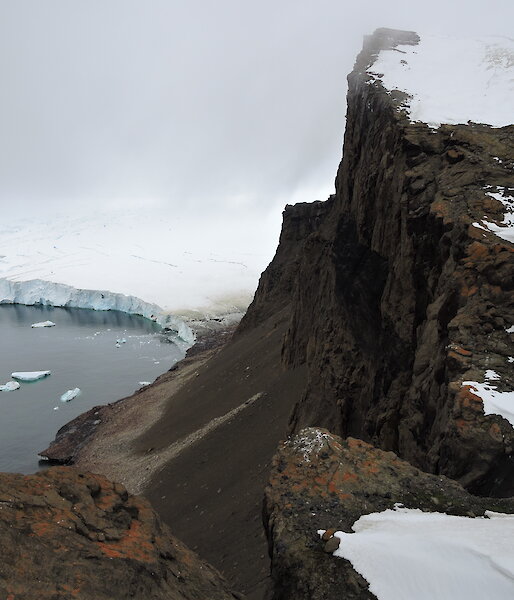 Orange coloured lichen grows above an ice-free cliff in Marie Byrd Land, West Antarctica.